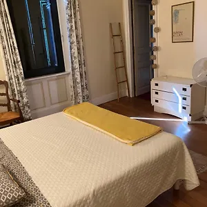 Les Camélias Mazamet
