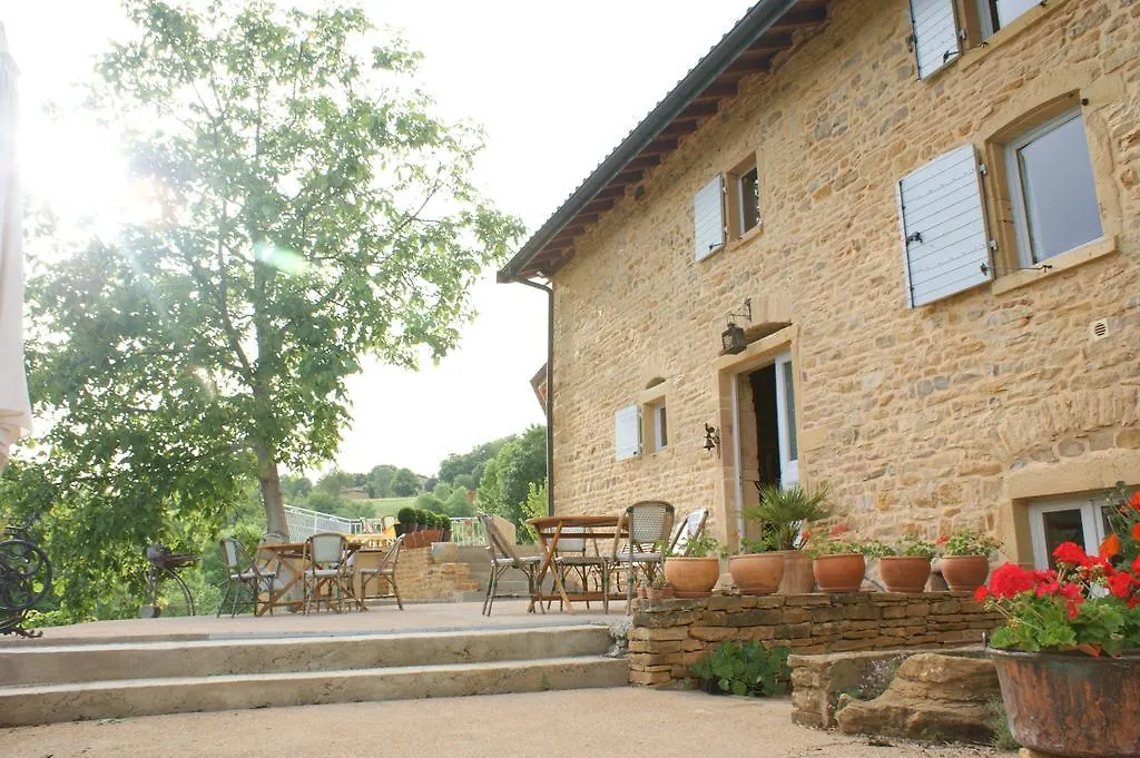 Maison D'Hotes Du Vert Vallon Theize 3*,  Frankrijk