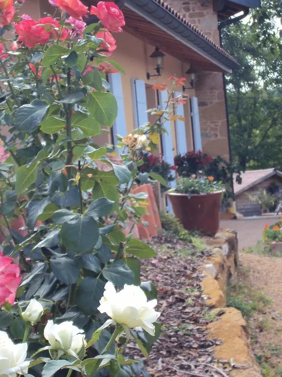 Bed & Breakfast Maison D'Hotes Du Vert Vallon Theize