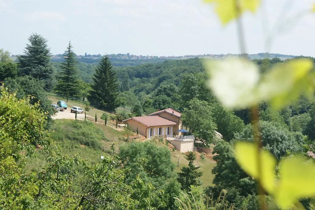 Maison D'Hotes Du Vert Vallon Theize Bed & Breakfast