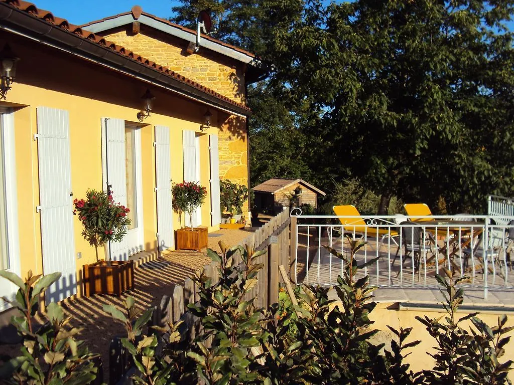 Maison D'Hotes Du Vert Vallon Theize Bed & Breakfast